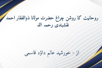 روحانیت کا روشن چراغ حضرت مولانا ذو الفقار احمد نقشبندیؒ